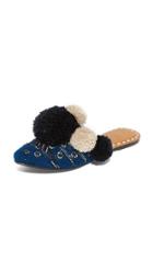 Figue Iris Slides