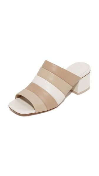 Opening Ceremony Ellenha Mules