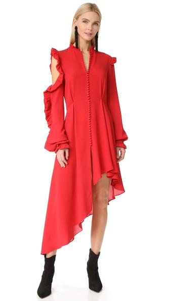 Magda Butrym Dress