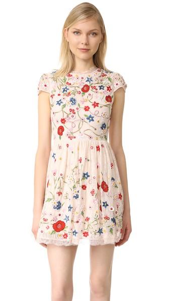 Alice Olivia Ariel Embroidered Cap Sleeve Dress