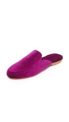 Mystique Velvet Mules