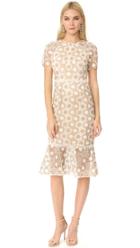 Shoshanna Octavia Dress