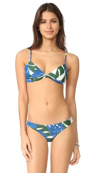 Mikoh Belize Triangle Bikini Top