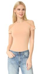 Alice Olivia Lux Lace Shoulder Top