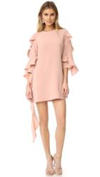 Alexis Sofie Dress