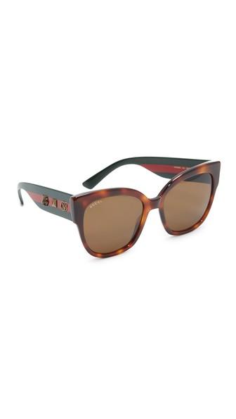 Gucci Oversized Tiger Sunglasses