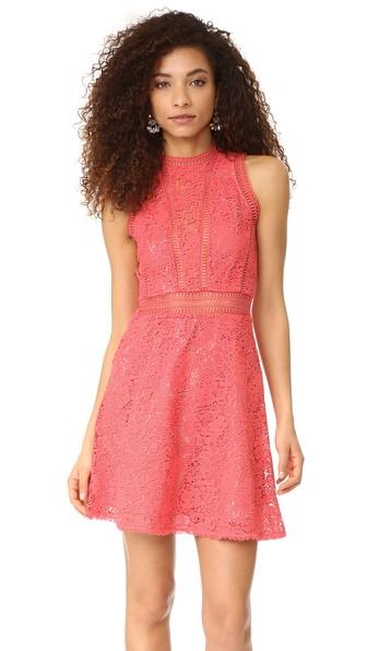 Rebecca Taylor Sleeveless Arella Lace Dress
