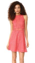 Rebecca Taylor Sleeveless Arella Lace Dress