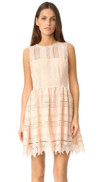 Bb Dakota Elissa Crochet Lace Dress