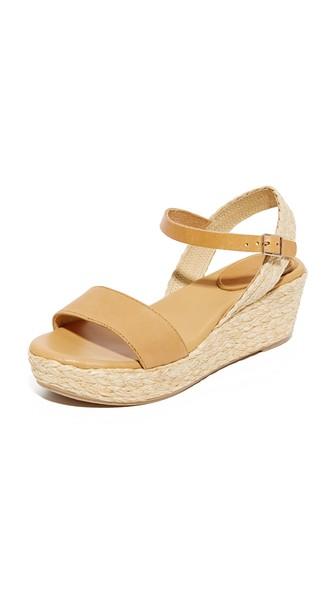 Matt Bernson Neptune Flatforms