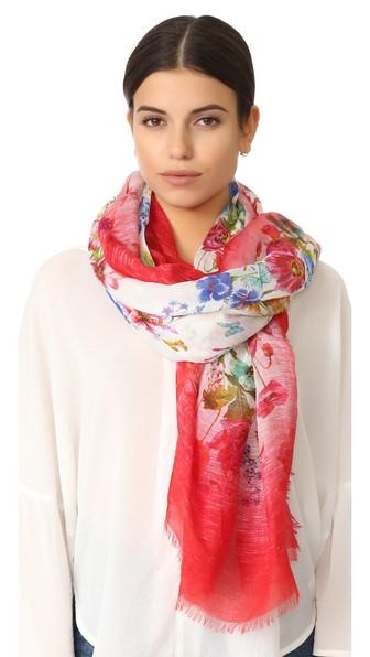 Franco Ferrari Floral Frame Scarf