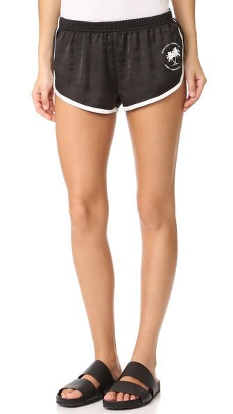 Spiritual Gangster Sg Palms Shorts