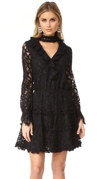 Alexis Catalina Dress