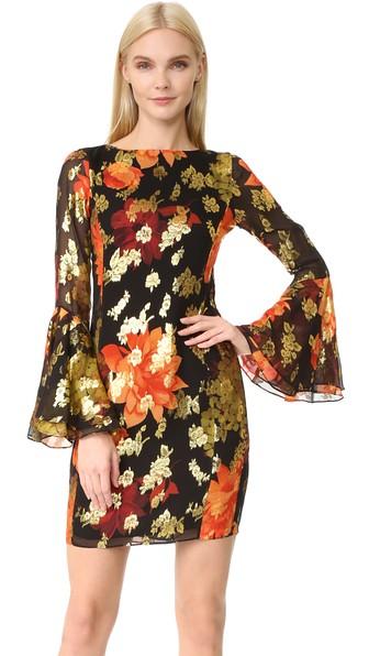 Haney Alisa Long Sleeve Dress