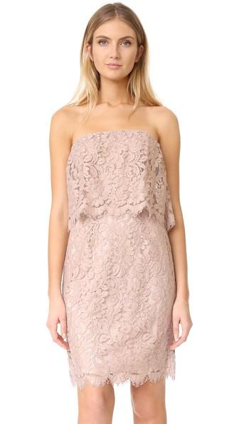 Bb Dakota R S V P By Bb Dakota Sakura Strapless Lace Dress