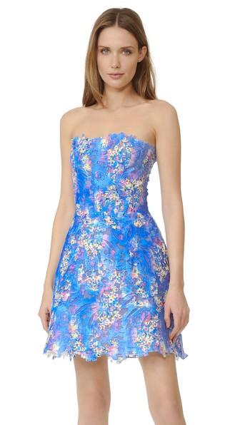 Monique Lhuillier Lace Strapless Dress