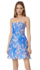 Monique Lhuillier Lace Strapless Dress