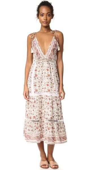 Saylor Anna Dress