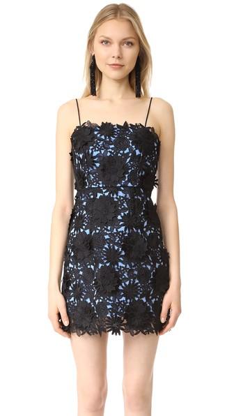 Milly Lace Mini Dress