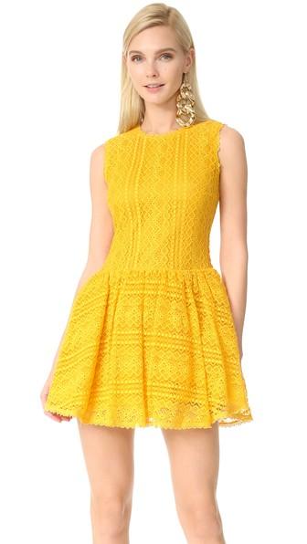 Red Valentino Lace Mini Dress