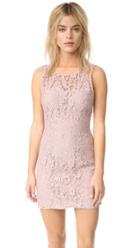 Bb Dakota Thessaly Sleeveless Lace Dress