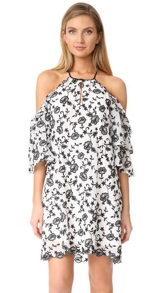 Parker Dolly Dress