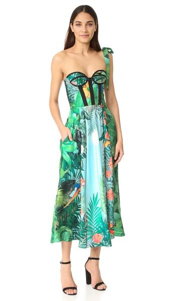 Rochas Strapless Print Dress