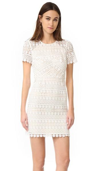 Shoshanna Geo Floral Lace Dress