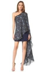 Haney Amy Antelope Print Dress