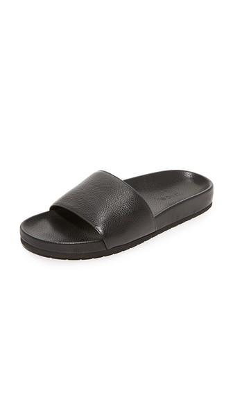 Vince Gavin Slides