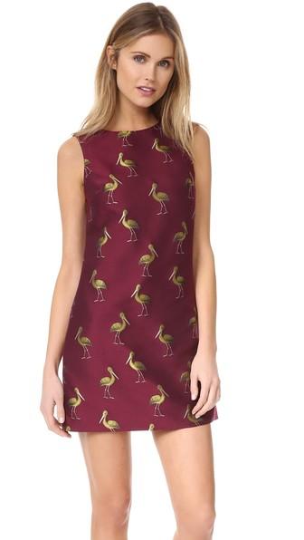 Alice Olivia April Shift Dress