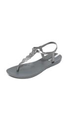 Ipanema Cleo T Strap Sandals