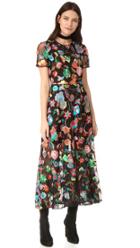Cynthia Rowley Embroidered Tulle Dress