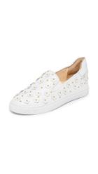 Isa Tapia Taylor Slip On Sneakers