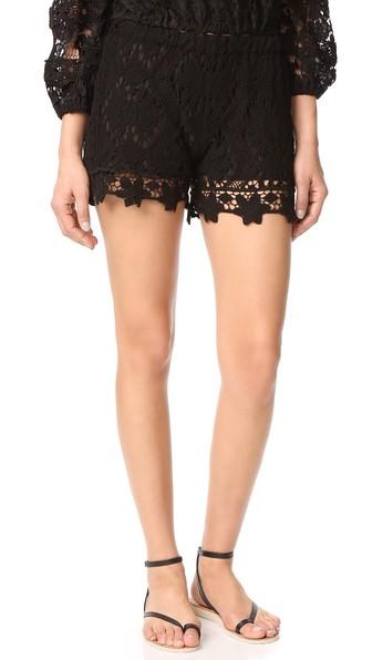 Temptation Positano Lace Shorts