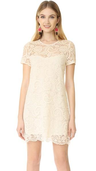 Cupcakes And Cashmere Shea Cap Sleeve Lace Wing Dress