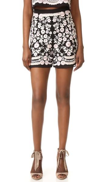 Needle Thread Prairie Embroidery Shorts