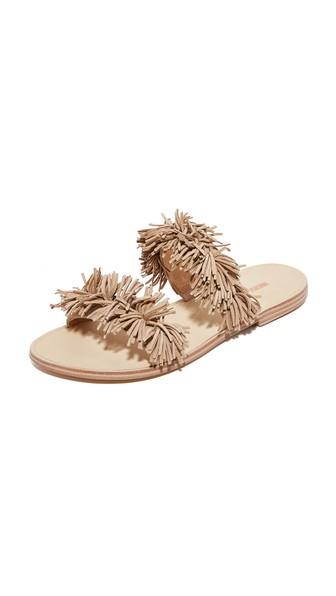 Matiko Azula Fringe Slides