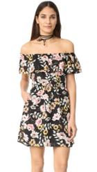 Cupcakes And Cashmere Trenton Everly Floral Dress