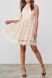  Elissa Lace Dress