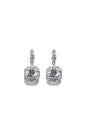  Accented Silver Earrings