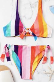  Hues Bikini Bottoms