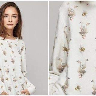  Golden Goose Jumper Set