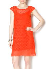  Bella Donna Dress