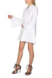  Alexa Shirt Dress