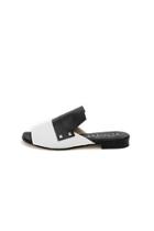  Two-tone Slide