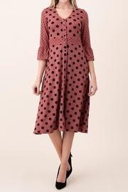  Mix Polka Dress