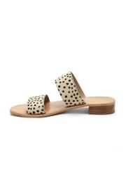  Limelight Leopard Slide
