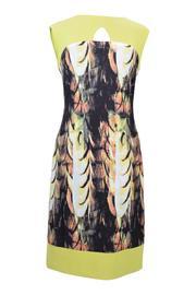  Abstract Citrus Dress