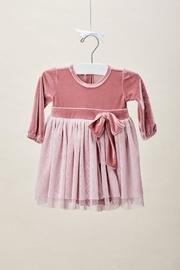  Velvet Tutu Dress